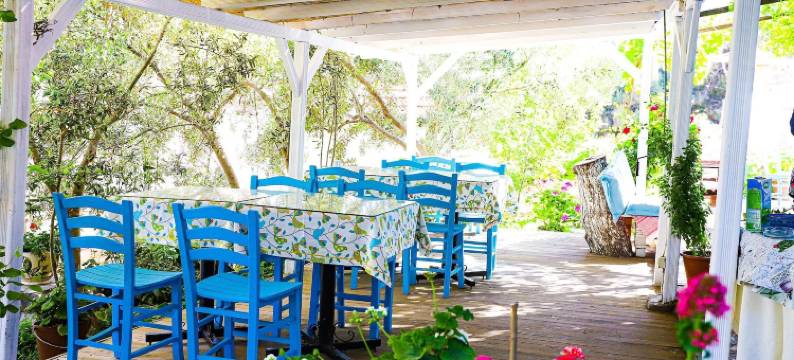 乌穆特海洋客栈(Umut Denizi Konukevi)图片