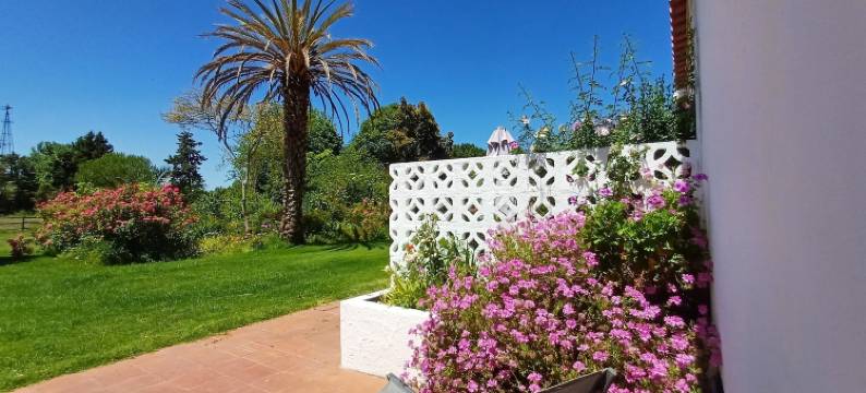 蒙特塞拉赫拉公寓酒店 - 农场旅游(Monte Da Serralheira Agro Turismo)图片