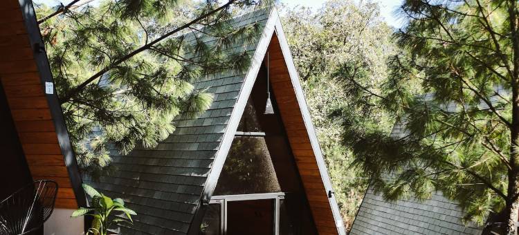 SIETE PUNTAS酒店(Cabañas Siete Puntas)图片