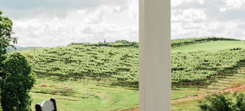 卡雅别墅(Kaya Cottages)图片