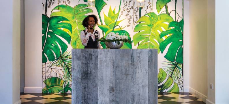 可可棕榈(Coco Palm)图片