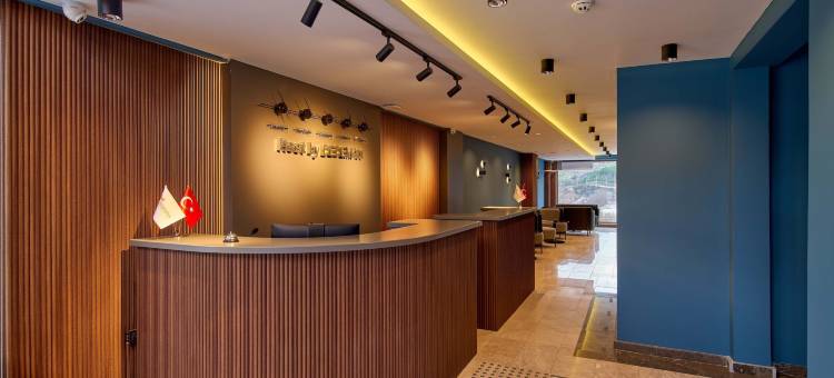 Dedeman卡拉布克休息酒店(Rest by Dedeman Karabük)图片