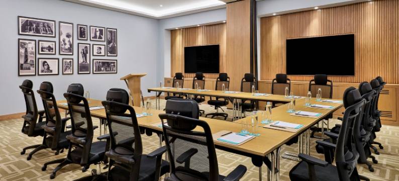 开罗机场艾美酒店(Le Meridien Cairo Airport)图片