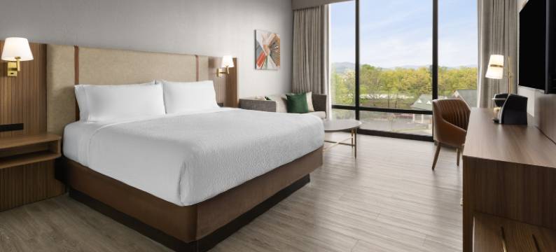 罗阿诺克假日酒店 - 坦格乌德路线419及581(Holiday Inn ROANOKE-TANGLEWOOD-RT 419&I581 by IHG)图片