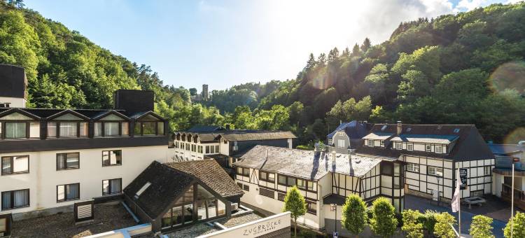 格瑞扎祖格布鲁克酒店(Hotel Zugbrücke Grenzau Gmbh)图片