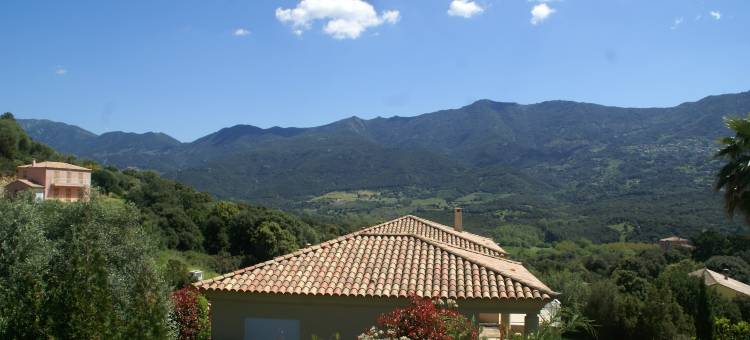 Spacious Villa with Pool图片