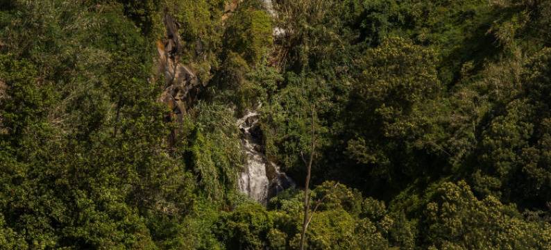 GuestReady - Duplex paradisíaco no Caniço图片