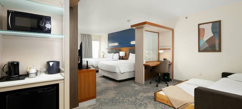 SpringHill Suites麦卡伦会议中心酒店(SpringHill Suites McAllen Convention Center)图片