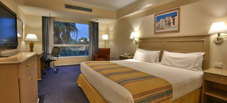 Holiday Inn 科尔多瓦(Holiday Inn CORDOBA by IHG)图片