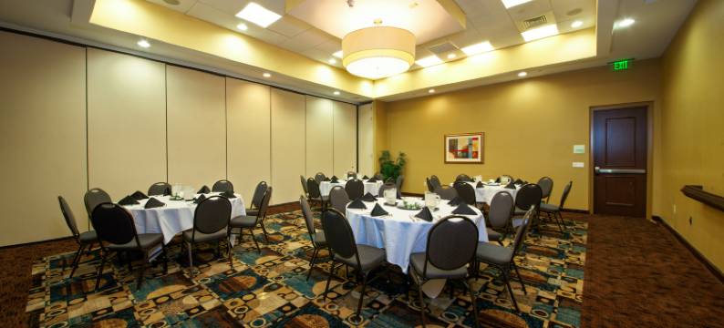 泰特斯维尔/肯尼迪航天中心假日酒店(Holiday Inn TITUSVILLE - KENNEDY SPACE CTR by IHG)图片