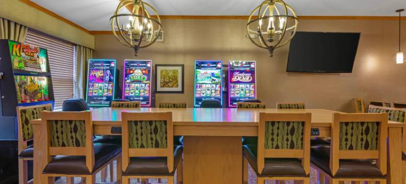 泰奥加美茵斯坦套房酒店(MainStay Suites Tioga)图片