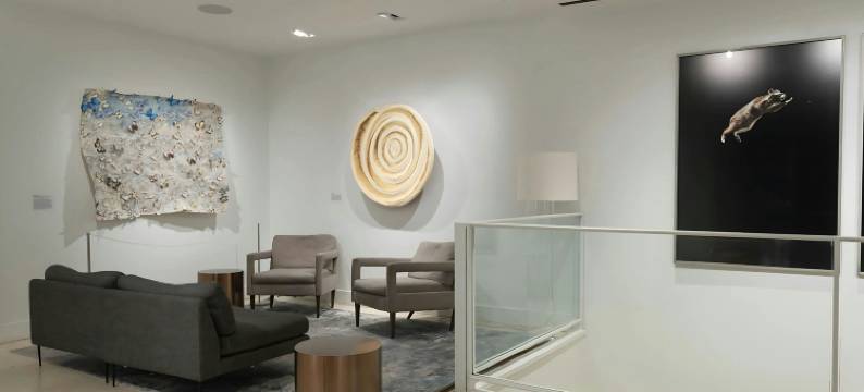 芝加哥市中心55号酒店(Hotel 55 Chicago Downtown)图片