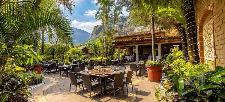 La Buena Vibra 健康度假村和水疗中心(La Buena Vibra Wellness Resort & Spa)图片