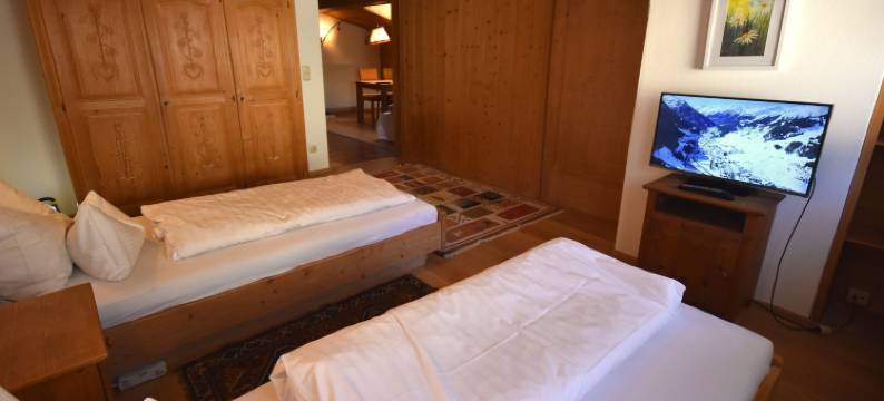 布鲁恩霍夫酒店(Brunnenhof Apartments)图片