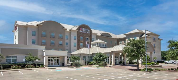 达拉斯阿林顿希尔顿花园酒店(Hilton Garden Inn Dallas/Arlington)图片