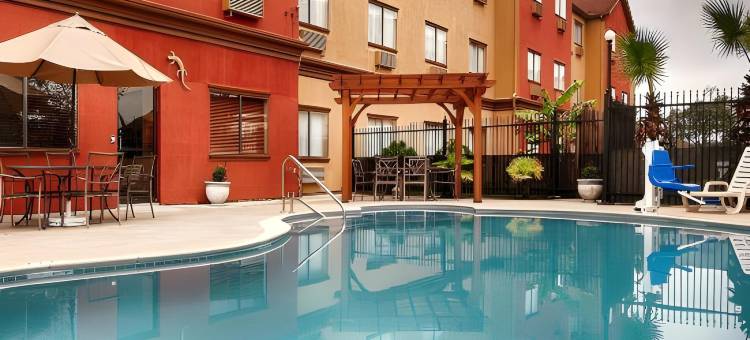 IAH布什机场-东舒适套房酒店(Comfort Inn & Suites IAH Bush Airport - East)图片