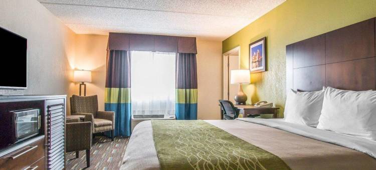 丘拉维斯塔圣地亚哥南舒适酒店(Comfort Inn Chula Vista San Diego South)图片