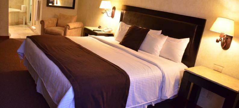 统治者酒店(Hotel Gobernador)图片