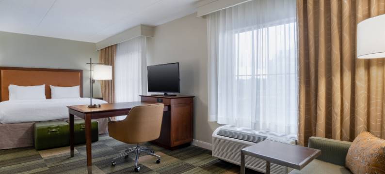 奥尔巴尼中心欢朋套房酒店(Hampton Inn & Suites Albany-Downtown)图片