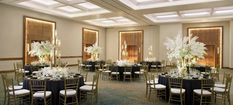巴亚以塔港万豪水疗度假村(Marriott Puerto Vallarta Resort & Spa)图片