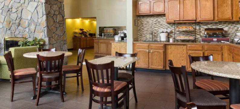 舒适酒店及套房锡拉丘兹-凯瑞尔圈(Comfort Inn & Suites Syracuse-Carrier Circle)图片