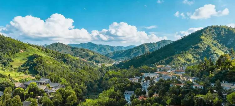 花筑·晓初丨山景美学设计师丨度假民宿酒店(泰山红门登山口店)图片