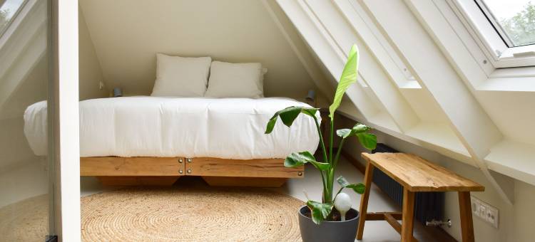 Van Heeckeren Apartments & Suites Nes图片