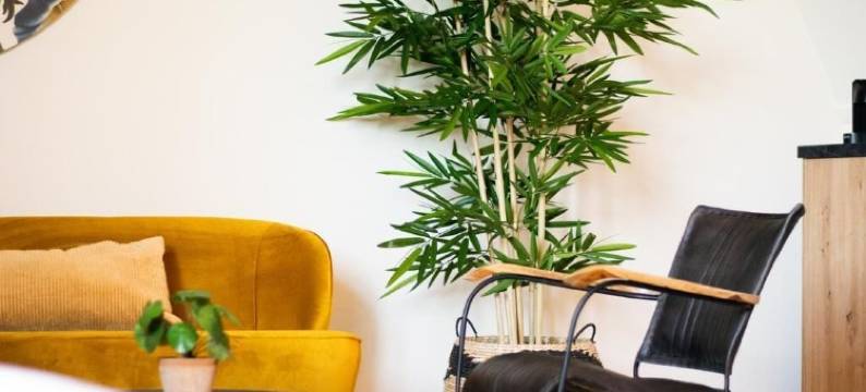 范德梅尔大咖啡酒店(Hotel Van der Meer)图片