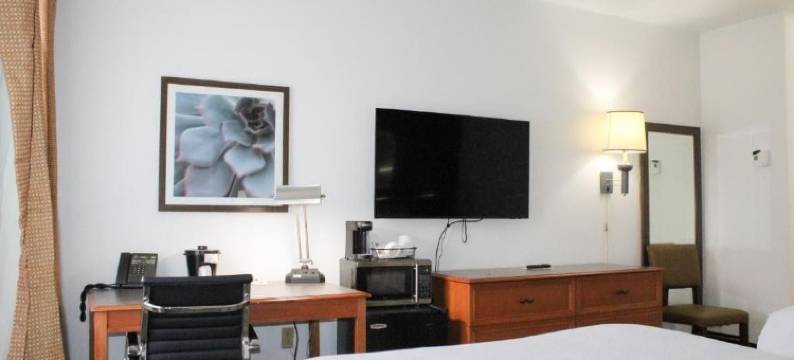 莱克兰东拉昆塔温德姆套房酒店(La Quinta Inn & Suites by Wyndham Lakeland East)图片