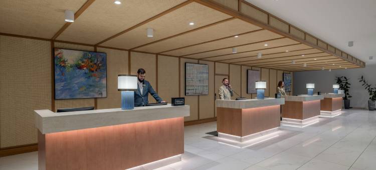 希尔顿日内瓦会议中心酒店(Hilton Geneva Hotel and Conference Centre)图片