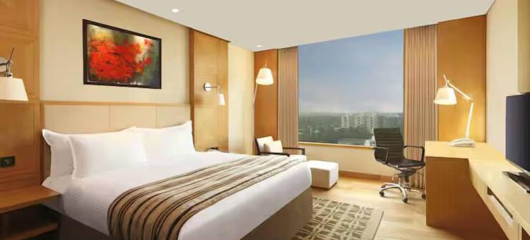 浦那金格希尔顿逸林酒店(DoubleTree by Hilton Pune - Chinchwad)图片