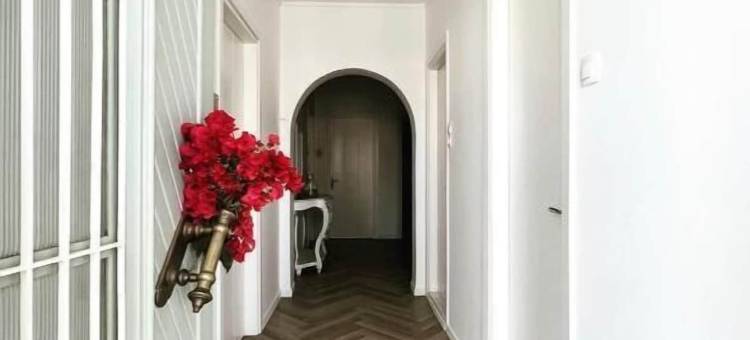 卡梅利亚酒店(Kamelia Hotel)图片