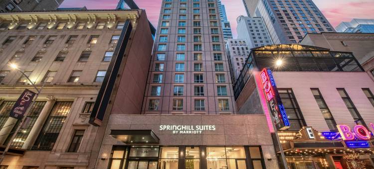 纽约曼哈顿时代广场南万豪春季山丘套房酒店(SpringHill Suites New York Manhattan Times Square)图片
