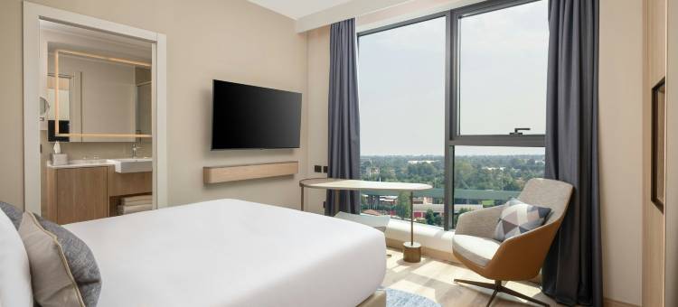 米兰利纳特庭院酒店(Courtyard Milano Linate)图片