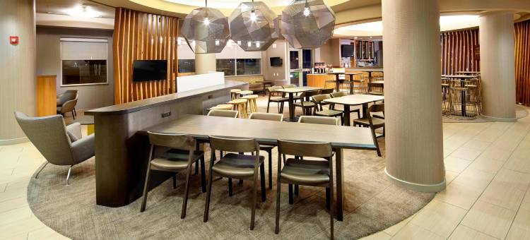 芝加哥沃基根/古尼万豪SpringHill酒店(SpringHill Suites Chicago Waukegan/Gurnee)图片