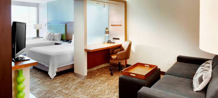哥伦布俄亥俄州立大学万豪SpringHill酒店(SpringHill Suites Columbus OSU)图片