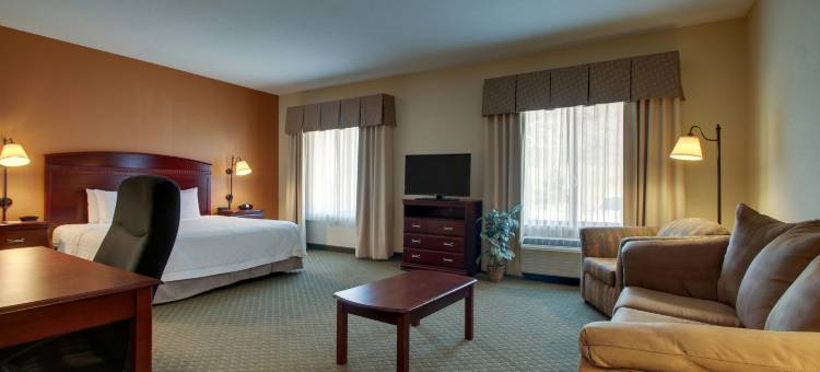 丹佛利特尔顿欢朋套房酒店(Hampton Inn & Suites Denver Littleton)图片