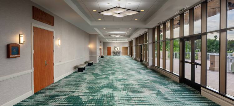 圣彼得堡卡里永希尔顿酒店(Hilton St. Petersburg Carillon Park)图片