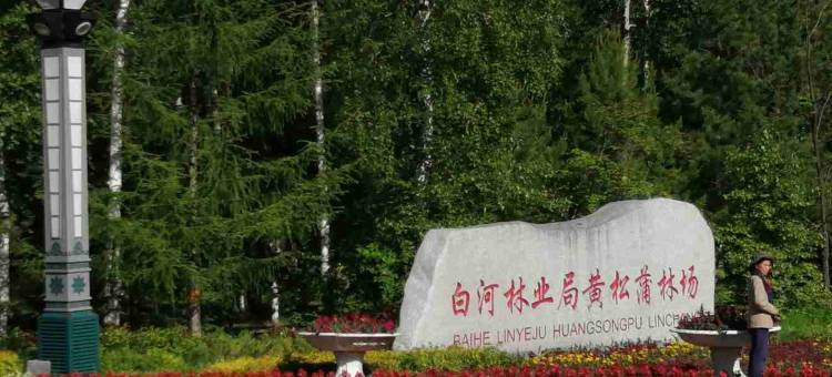 摄影之家农家院(长白山黄松浦检票大厅店)图片