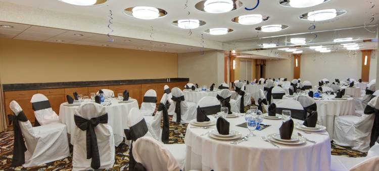 卡尔加里机场假日酒店(Holiday Inn Calgary-Airport)图片