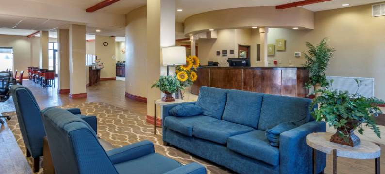 机场南舒适套房酒店(Comfort Suites Airport South)图片