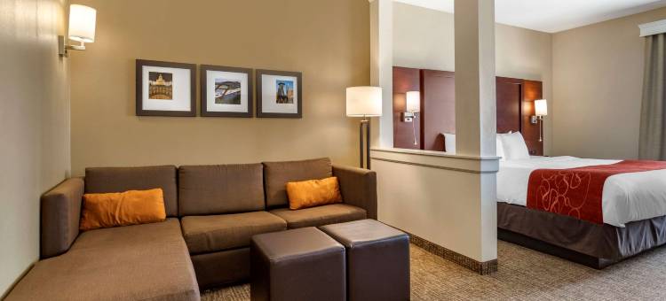 舒适套房酒店(Comfort Suites Kyle)图片