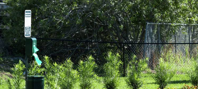 佛罗里达奥兰多机场希尔顿惠庭套房酒店(Home2 Suites by Hilton Orlando Airport)图片