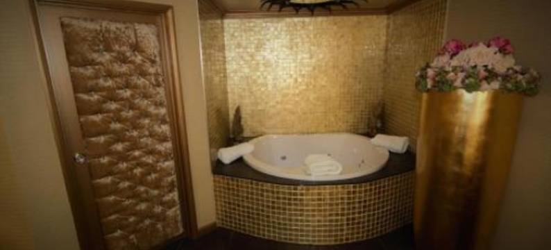 惊喜酒店(Who'd A Thought It)图片