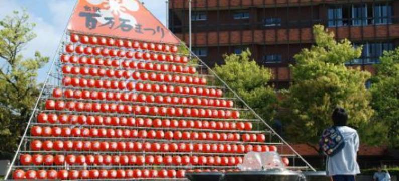 城镇41胶囊旅馆(Town Hotel 41)图片