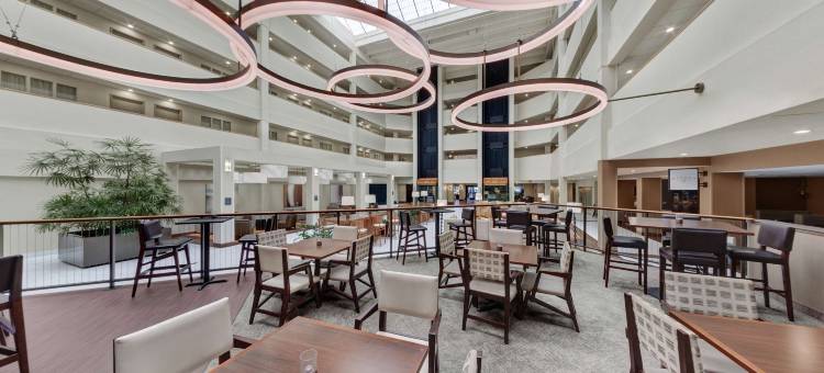 布鲁克菲尔德密尔沃基希尔顿安泊酒店(Embassy Suites by Hilton Milwaukee Brookfield)图片