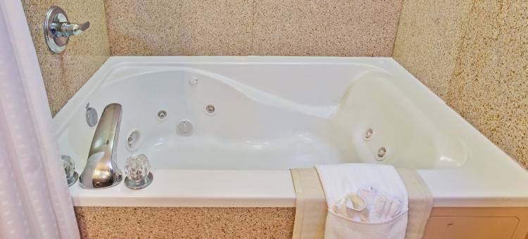 智选假日套房酒店戴尔斯堡(Holiday Inn Express & Suites Dyersburg)图片