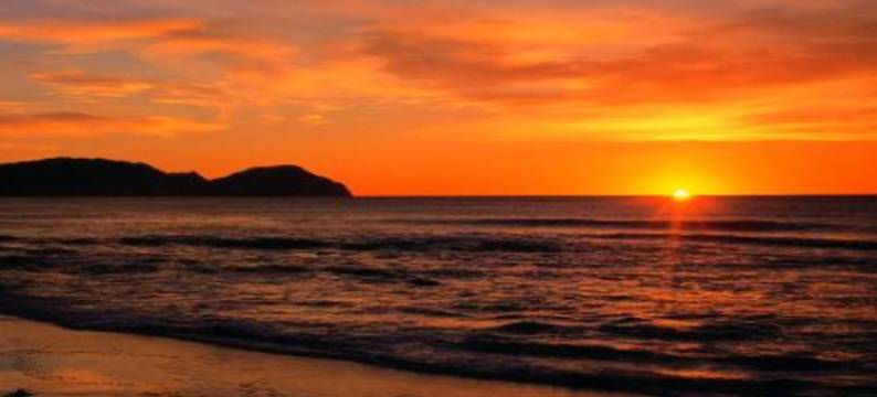 瓦努伊海滩(Ocean Beach Wainui)图片