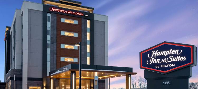 加拿大安大略渥太华西欢朋套房酒店(Hampton Inn & Suites by Hilton Ottawa West)图片