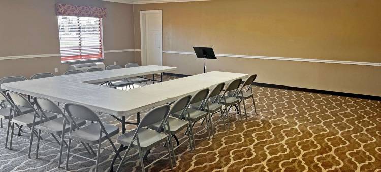 卡尔德本大学区舒适套房酒店(Comfort Inn & Suites Carbondale University Area)图片